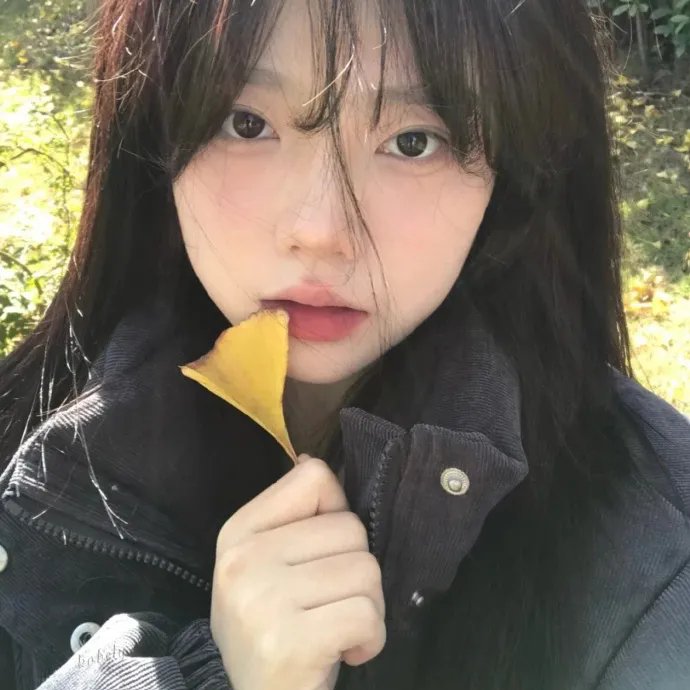自行车与旧电钢